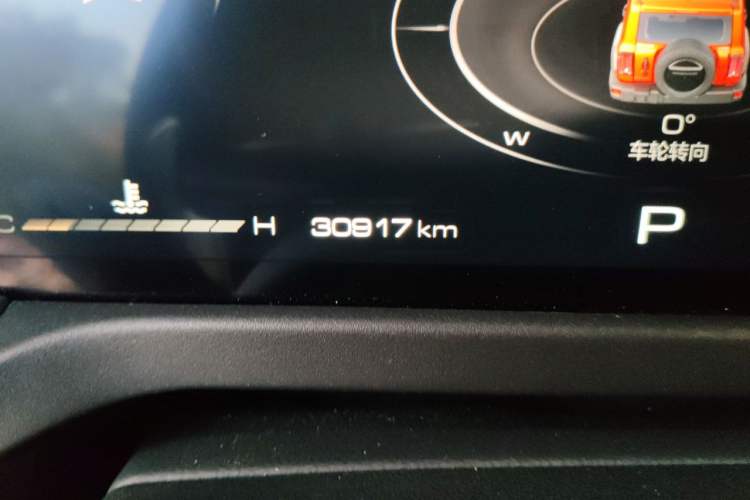 Used Tank 300 2024 2.0T Conqueror Odometer Close Up