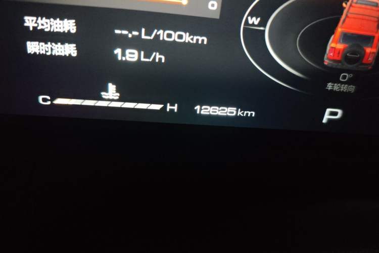 Used Tank 300 2024 2.0T Conqueror Odometer Close Up