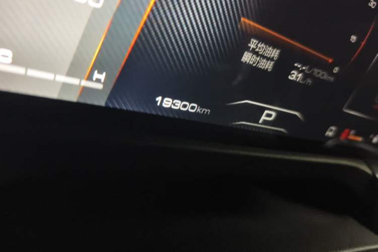 Used Tank 300 2024 2.0T Conqueror Odometer Close Up