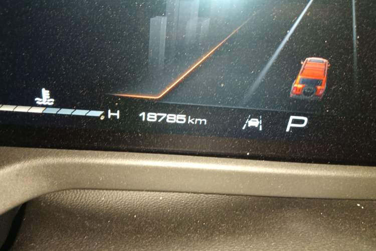 Used Tank 300 2024 2.0T Conqueror Odometer Close Up