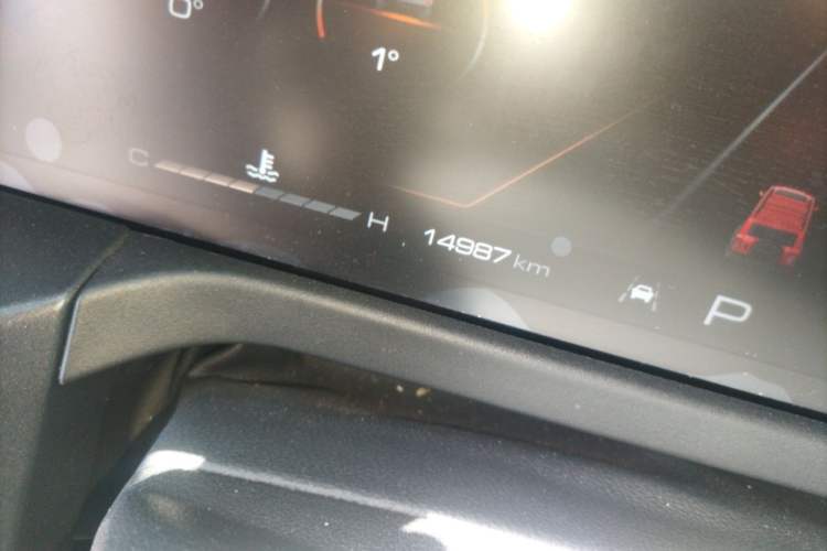Used Tank 300 2024 2.0T Conqueror Odometer Close Up