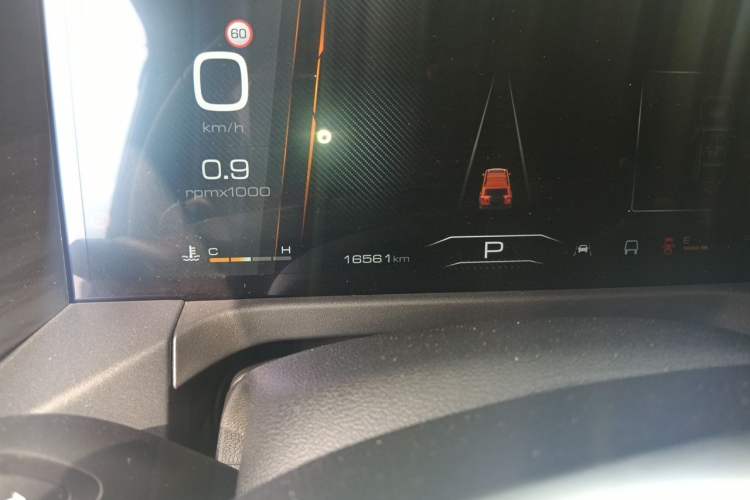 Used Tank 300 2024 2.0T Challenger Odometer Close Up