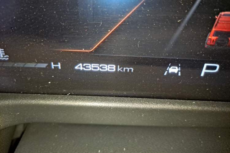 Used Tank 300 2024 2.0T Conqueror Odometer Close Up