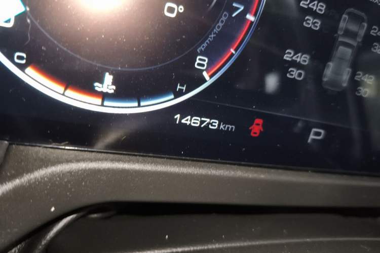 Used Tank 300 2024 2.0T Conqueror Odometer Close Up