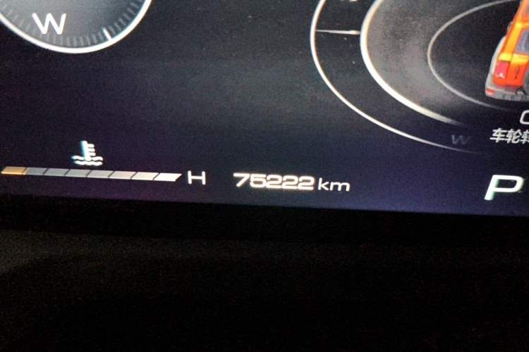 Used Tank 300 2024 2.0T Conqueror Odometer Close Up