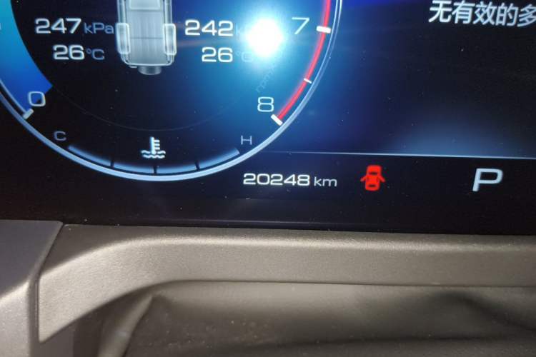 Used Tank 300 2024 2.0T Conqueror Odometer Close Up