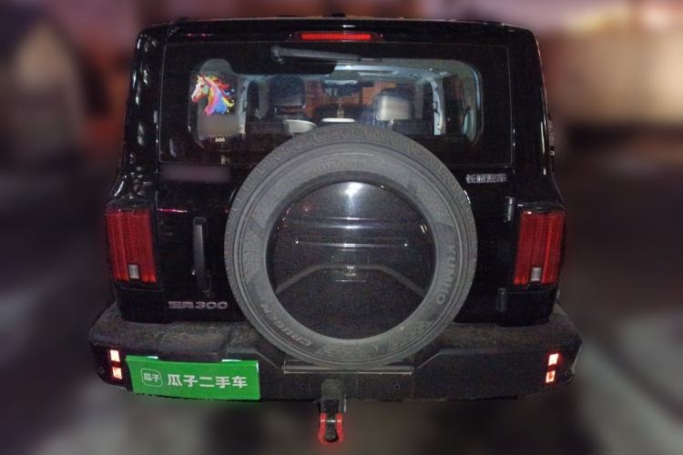 Used Tank 300 2024 2.0T Challenger Rear