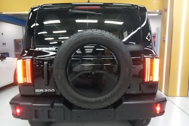 Used Tank 300 2024 2.0T Conqueror Rear