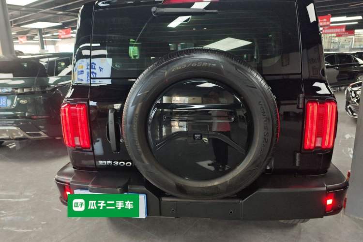 Used Tank 300 2024 2.0T Conqueror Rear