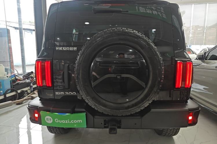 Used Tank 300 2024 2.0T Conqueror Rear