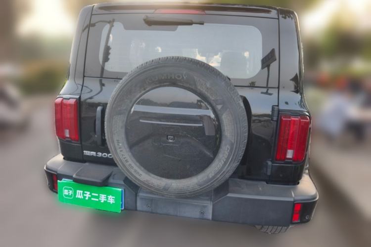 Used Tank 300 2024 2.0T Conqueror Rear