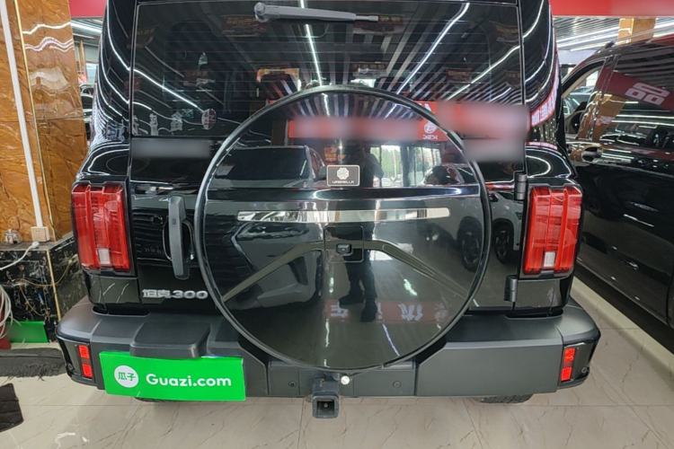 Used Tank 300 2024 2.0T Challenger Rear