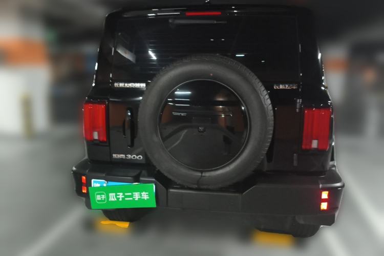 Used Tank 300 2024 2.0T Crosser Rear