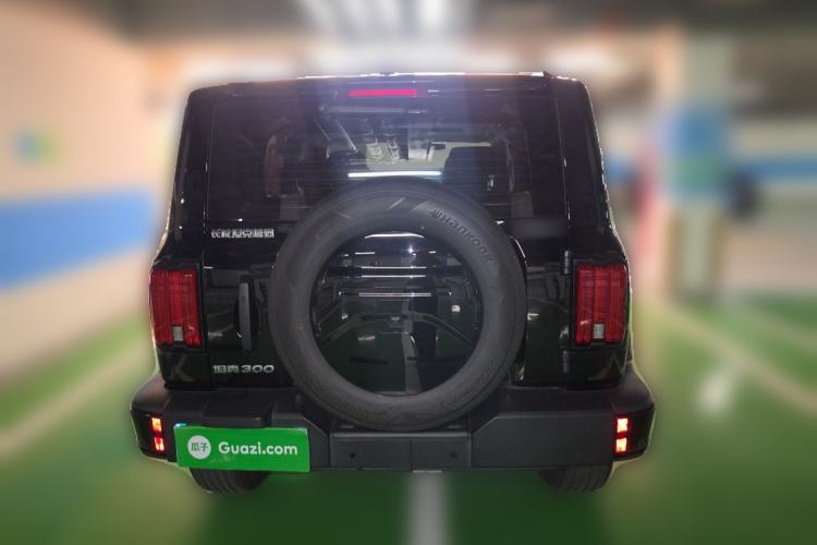 Used Tank 300 2024 2.0T Conqueror Rear