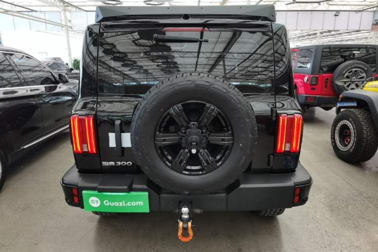 Used Tank 300 2024 2.0T Challenger Rear