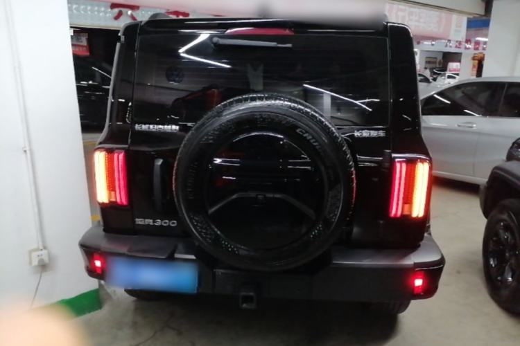 Used Tank 300 2024 2.0T Conqueror Rear