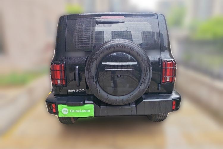 Used Tank 300 2024 2.0T Conqueror Rear
