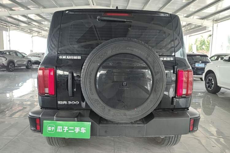 Used Tank 300 2024 2.0T Conqueror Rear
