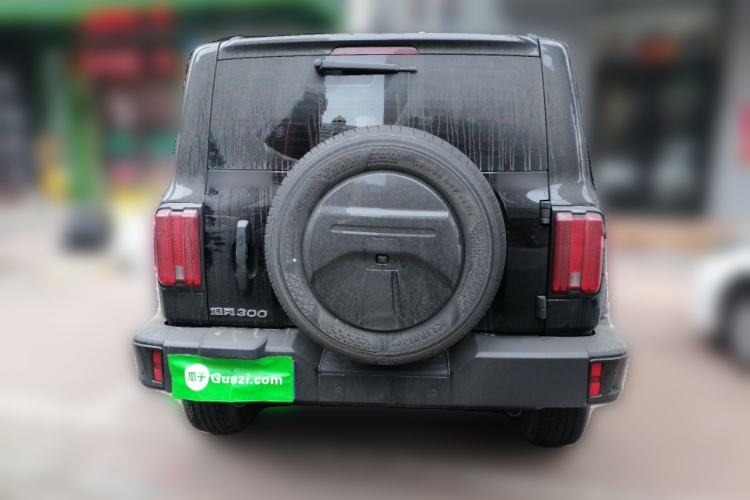 Used Tank 300 2024 2.0T Conqueror Rear