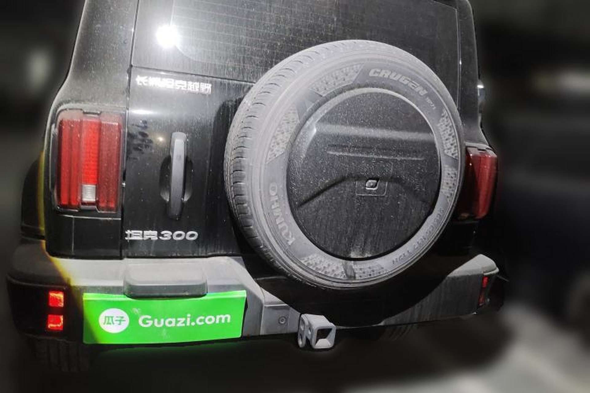 Used Tank 300 2024 2.0T Conqueror Rear