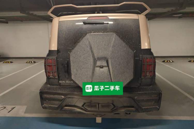 Used Tank 300 2024 2.0T Crosser Rear