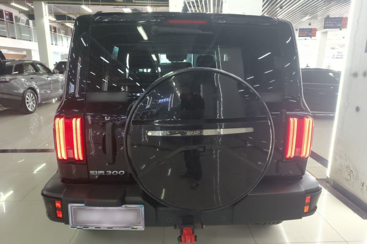 Used Tank 300 2024 2.0T Conqueror Rear