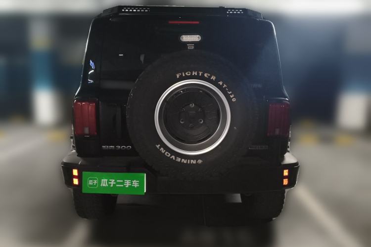 Used Tank 300 2024 2.0T Conqueror Rear