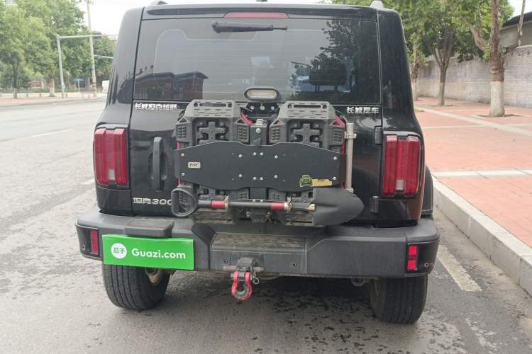 Used Tank 300 2024 2.0T Conqueror Rear