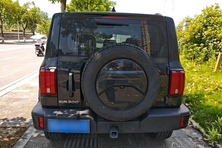 Used Tank 300 2024 2.0T Conqueror Rear