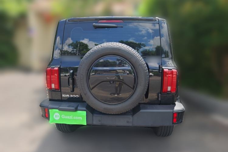 Used Tank 300 2024 2.0T Crosser Rear