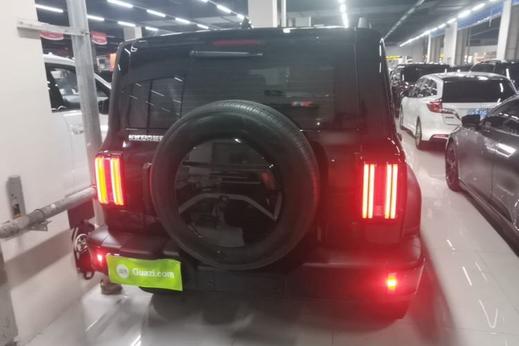 Used Tank 300 2024 2.0T Conqueror Rear