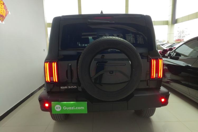 Used Tank 300 2024 2.0T Conqueror Rear