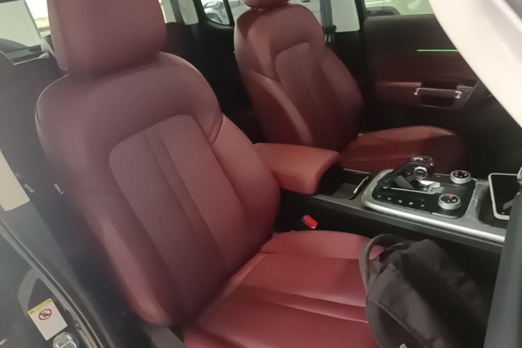 Used Tank 300 2024 2.0T Conqueror Right Front Seat
