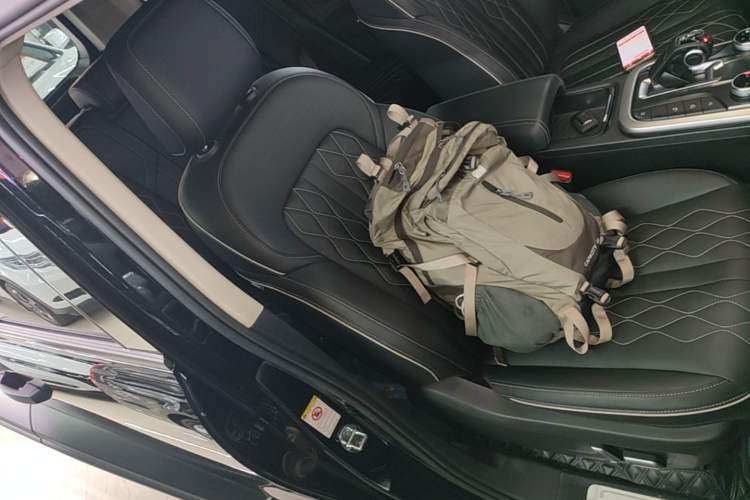 Used Tank 300 2024 2.0T Challenger Right Front Seat