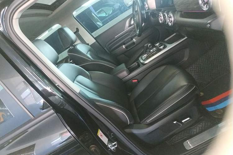 Used Tank 300 2024 2.0T Conqueror Right Front Seat