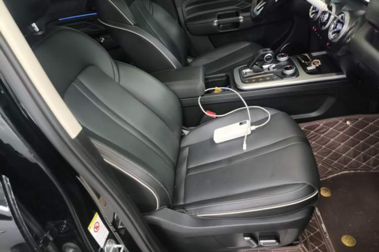 Used Tank 300 2024 2.0T Conqueror Right Front Seat
