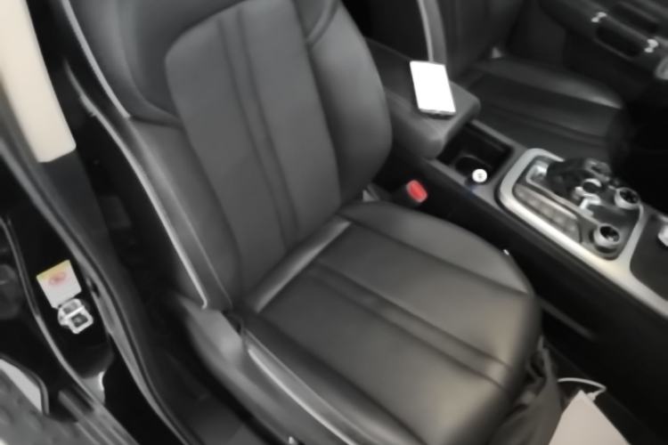 Used Tank 300 2024 2.0T Conqueror Right Front Seat