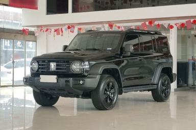 Used Tank 300 2024 2.0T Conqueror