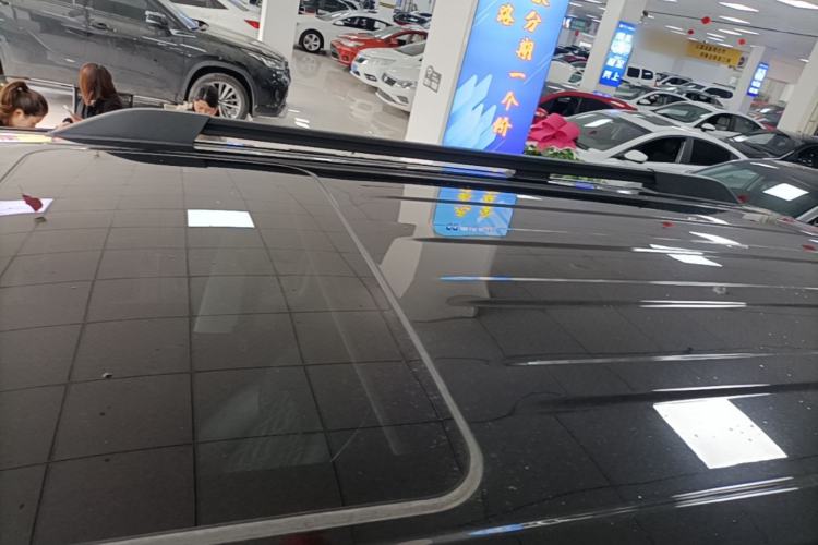 Used Tank 300 2024 2.0T Challenger Roof