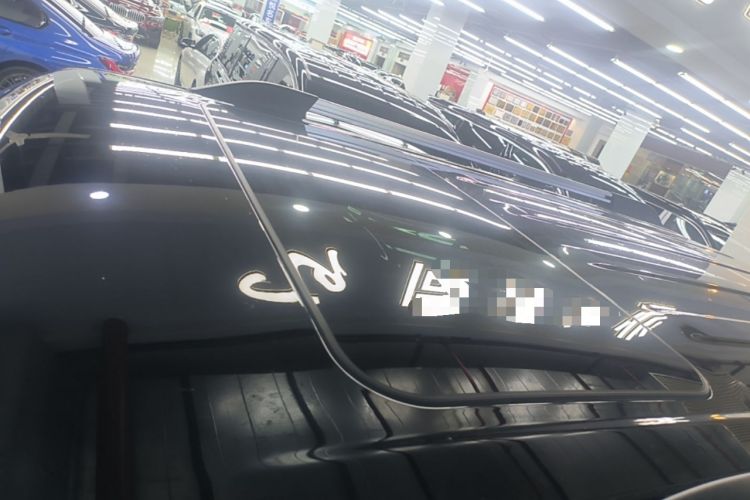 Used Tank 300 2024 2.0T Crosser Roof