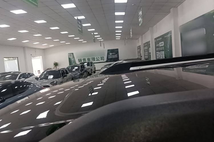 Used Tank 300 2024 2.0T Conqueror Roof