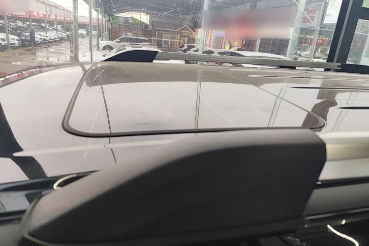 Used Tank 300 2024 2.0T Crosser Roof