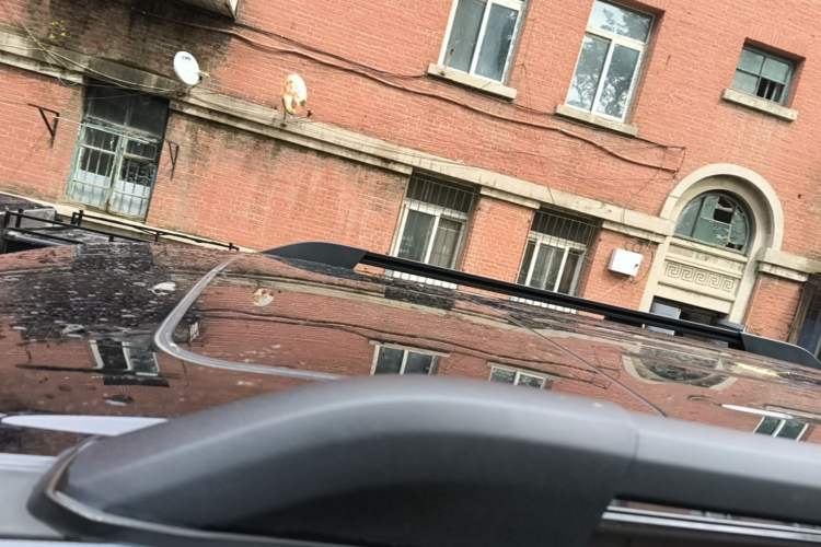 Used Tank 300 2024 2.0T Challenger Roof