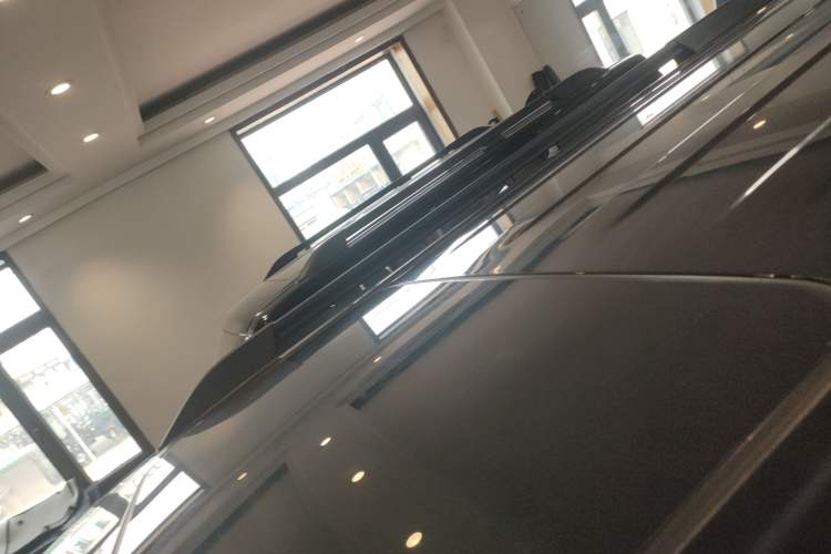 Used Tank 300 2024 2.0T Conqueror Roof