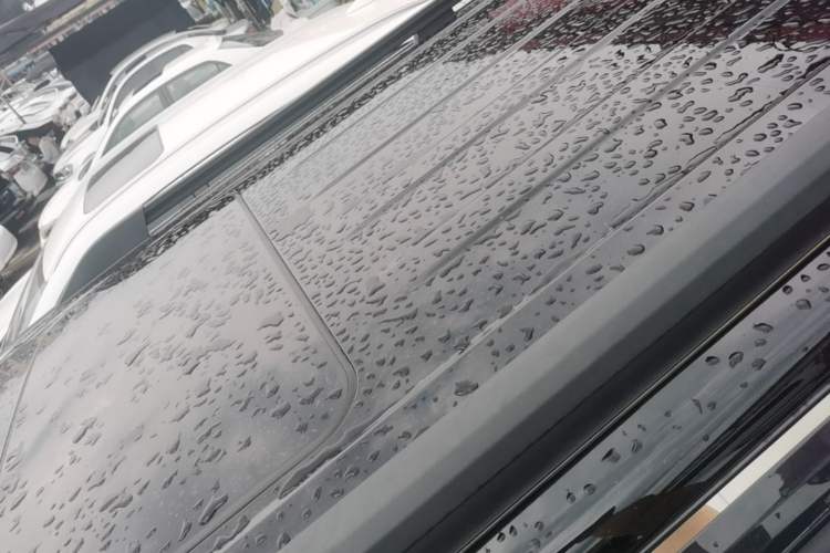 Used Tank 300 2024 2.0T Conqueror Roof