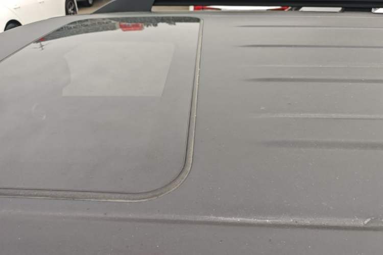 Used Tank 300 2024 2.0T Conqueror Roof
