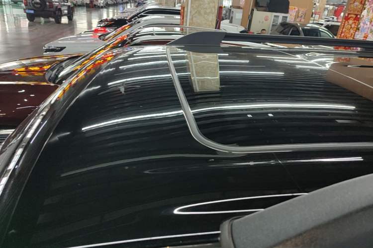 Used Tank 300 2024 2.0T Conqueror Roof