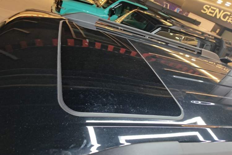 Used Tank 300 2024 2.0T Conqueror Roof