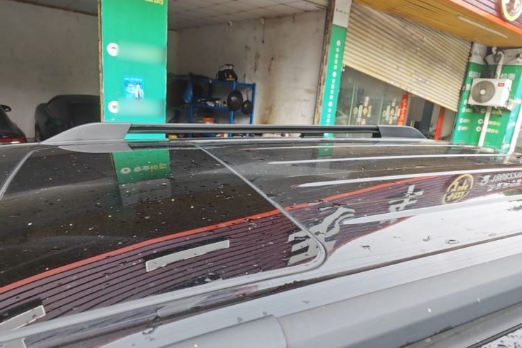 Used Tank 300 2024 2.0T Conqueror Roof
