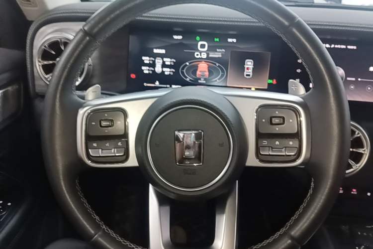 Used Tank 300 2024 2.0T Conqueror Steering Wheel